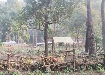 नवलपुरमा निकुञ्जको ३३५.२ हेक्टर अतिक्रमण, २०३४ अगाडीका बस्ती पनि अतिक्रमितको सुचीमा