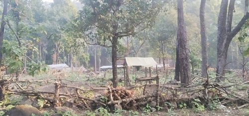 नवलपुरमा निकुञ्जको ३३५.२ हेक्टर अतिक्रमण, २०३४ अगाडीका बस्ती पनि अतिक्रमितको सुचीमा