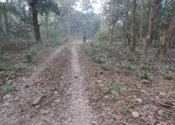 दुम्किबास- त्रिवेणी सडकमा प्रधानमन्त्रीको चासो, तत्काल ईआईए को काम अगाडी बढाईने