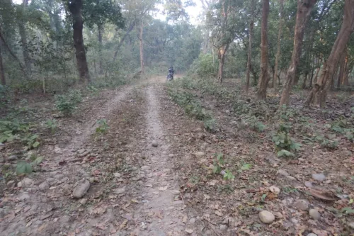 दुम्किबास- त्रिवेणी सडकमा प्रधानमन्त्रीको चासो, तत्काल ईआईए को काम अगाडी बढाईने