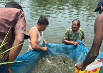 सीमामा कडाइले नवलपुरका माछा व्यवशायी उत्साहित