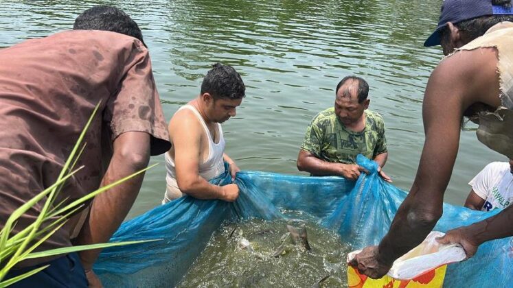 सीमामा कडाइले नवलपुरका माछा व्यवशायी उत्साहित