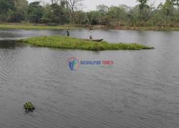 जलवायु परिवर्तनको चपेटामा देवि ताल: संरक्षणमा जुटदै चितवन राष्ट्रिय निकुञ्ज