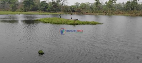 जलवायु परिवर्तनको चपेटामा देवि ताल: संरक्षणमा जुटदै चितवन राष्ट्रिय निकुञ्ज