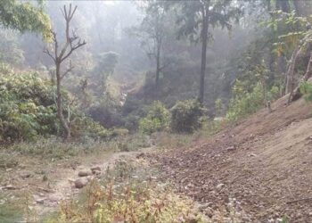 प्रधानमन्त्रीले चासो दिएको दुम्किबास त्रिवेणी सडकको फाइल वन मन्त्रालयमा अडकियो