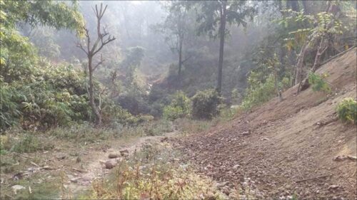 प्रधानमन्त्रीले चासो दिएको दुम्किबास त्रिवेणी सडकको फाइल वन मन्त्रालयमा अडकियो
